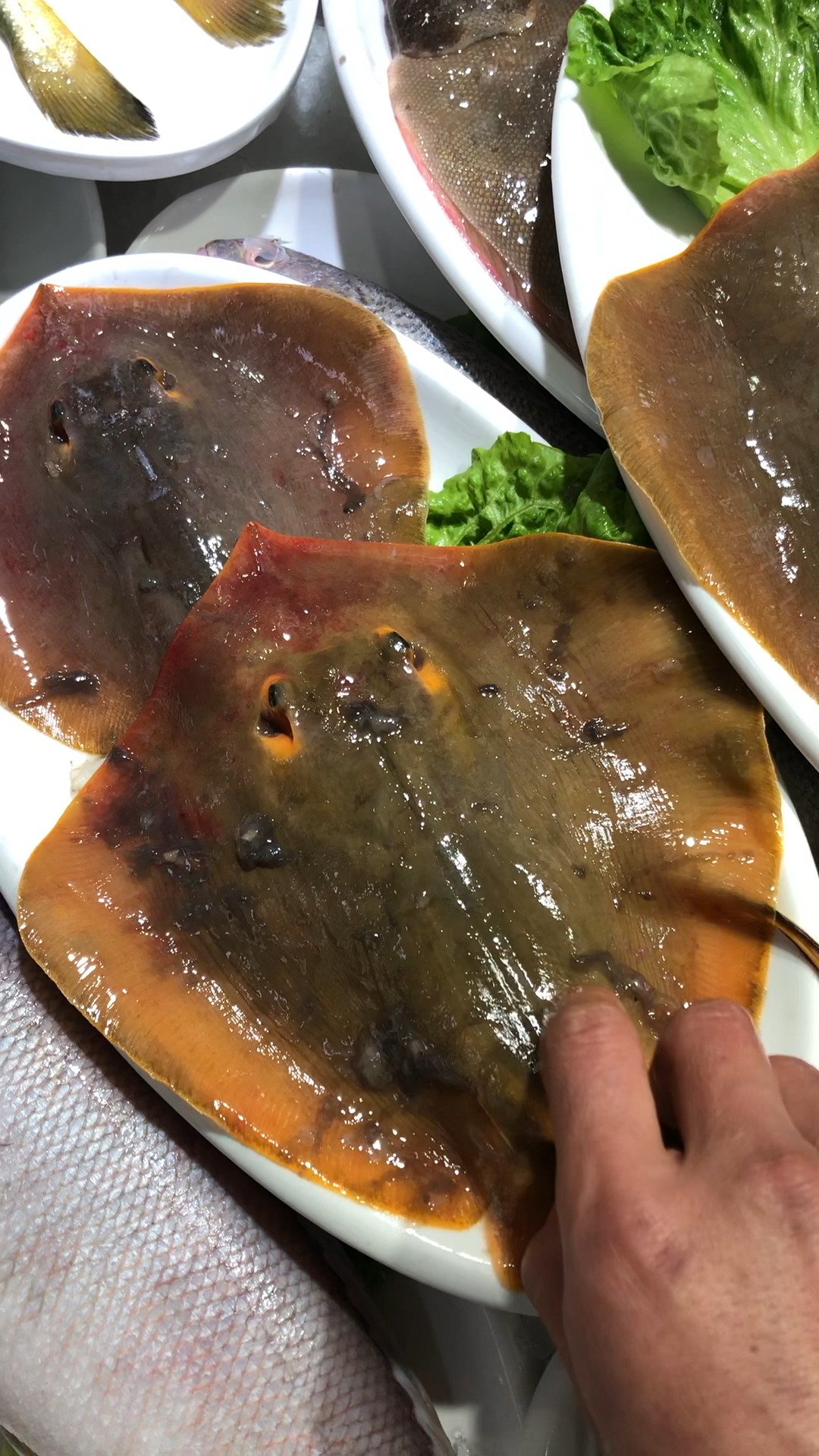 近海小黄虾鱼新鲜看得见