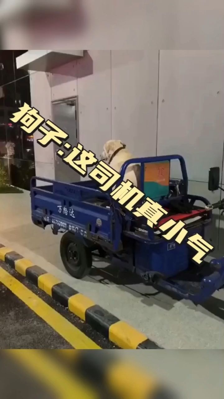 这狗子碎碎念模式太可爱了,主人家吃红烧肉,把它馋坏了
