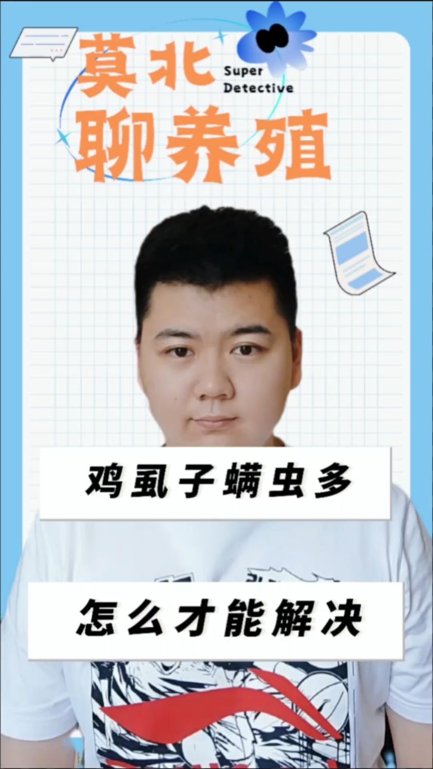 #鸡身上有虱子怎么办鸡上长虱子怎样消灭鸡身上有很小的虫子是什么蛋鸡虱子怎么灭