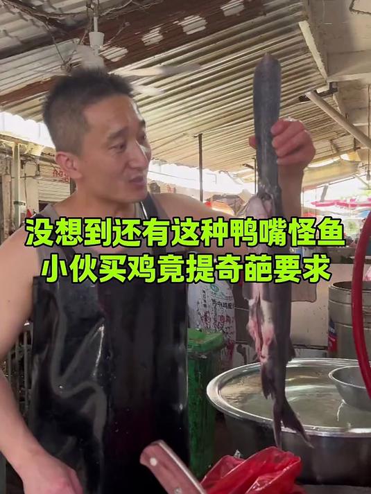 没想到还有这种鸭嘴怪鱼,小伙买鸡奇葩要求
