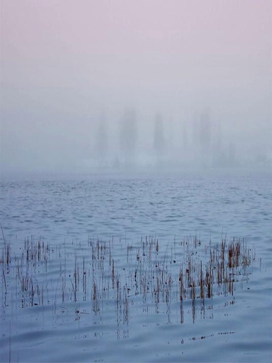 好物推荐 美的绞肉机 美的多功能绞肉机来了！它7389