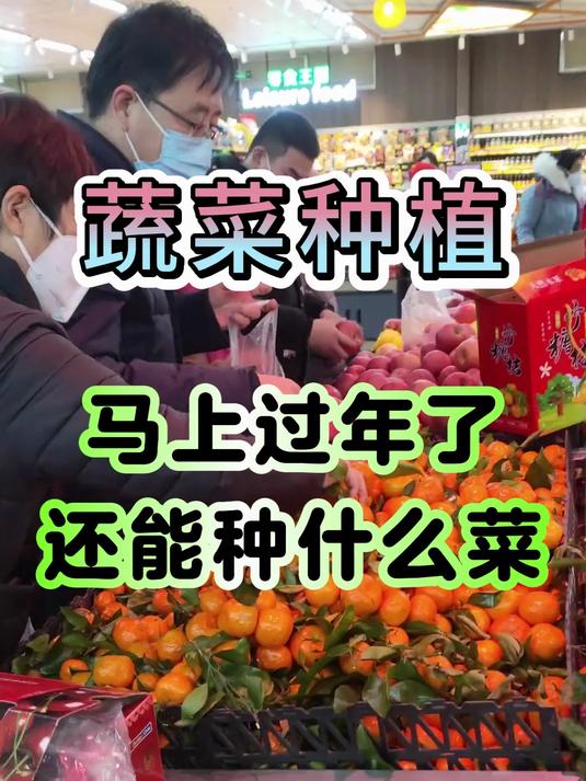 马上过年了，还能种什么菜