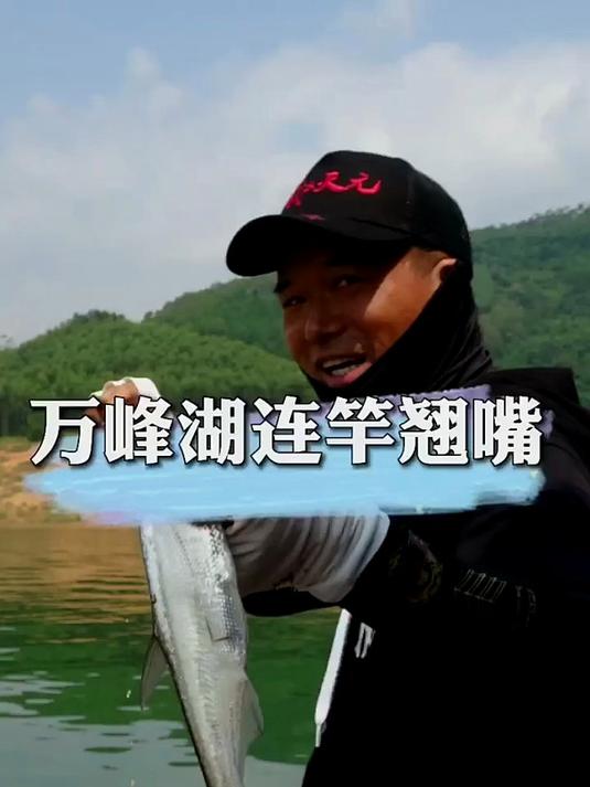 万峰湖翘嘴连竿！“小秘密” 公开，钓鱼人狂喜