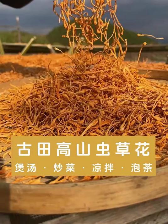 简单食材大作用!虫草花煲鸡汤超营养