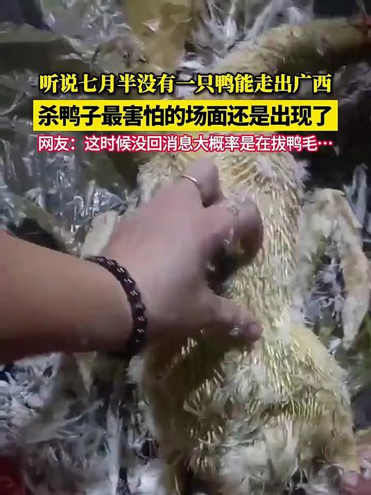 拔到手痛!七月十四杀鸭子最害怕的场面还是出现了……