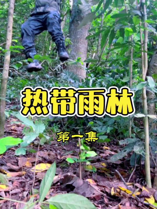 经过休整，前往数千公里外的热带雨林，开启新的一期野外生存