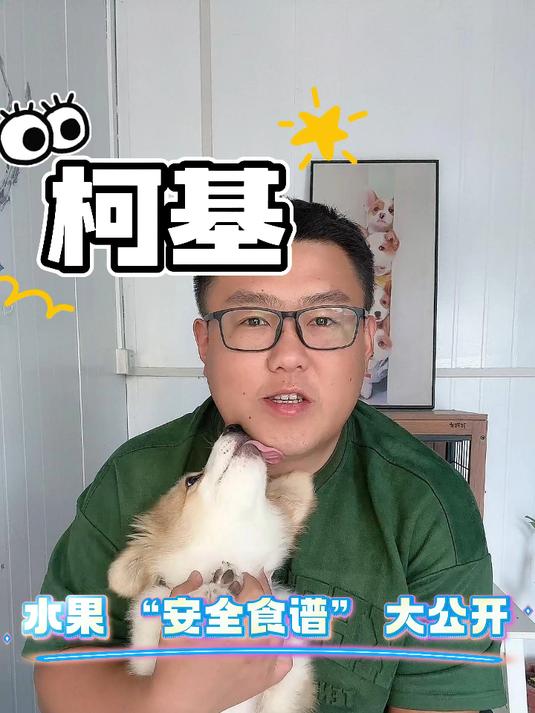 狗狗水果 “安全食谱” 大公开！