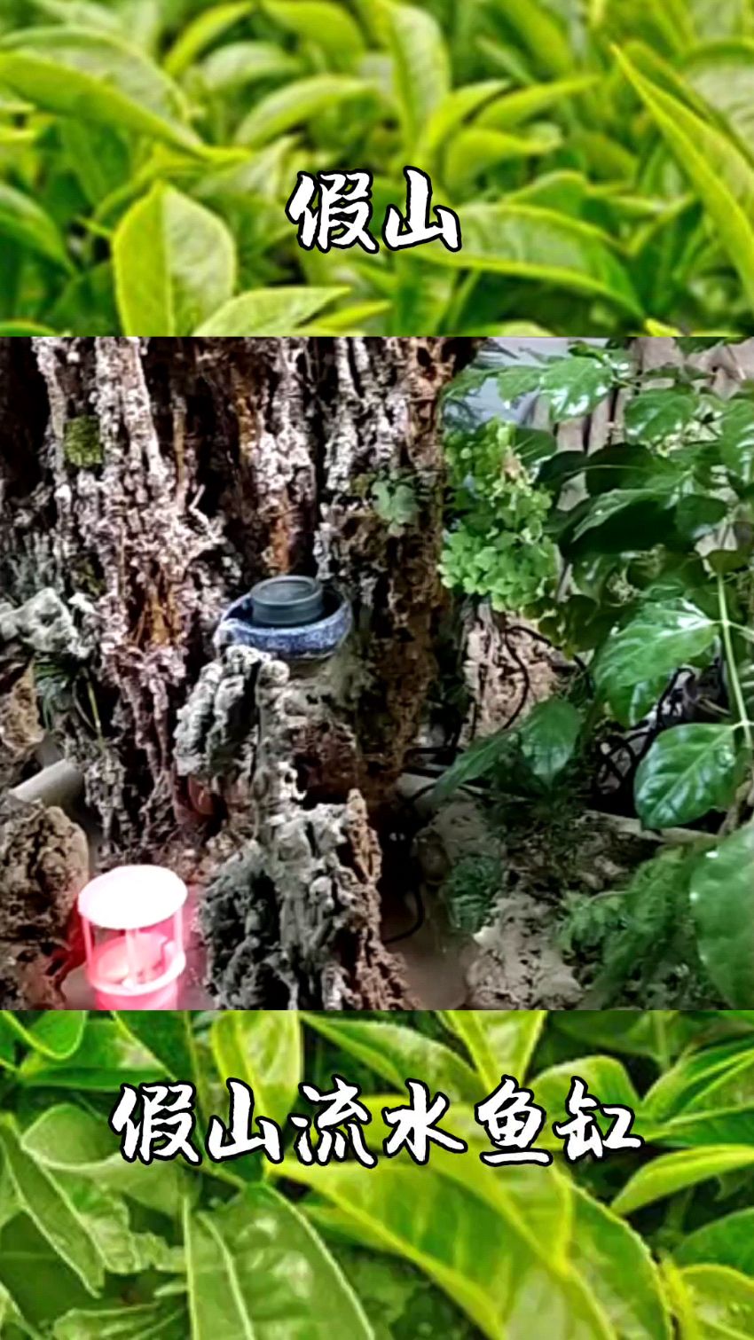假山配鱼缸的设计