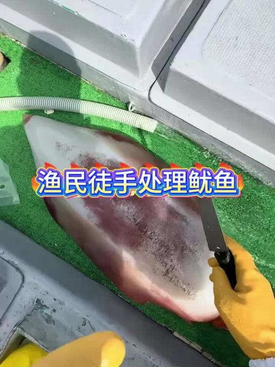出海捕捞当场收拾，手撕鱿鱼皮看着太过瘾