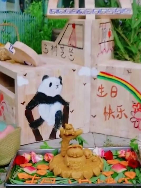 大熊猫萌兰10岁生日仪式感拉满 工作人员贴心准备了蛋糕和鲜花