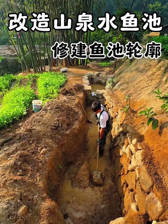 升级改造我们的山泉水鱼池,把要修建鱼池轮廓的地方开挖清理出来