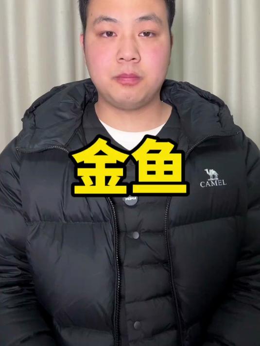 金鱼的颜色受什么影响?