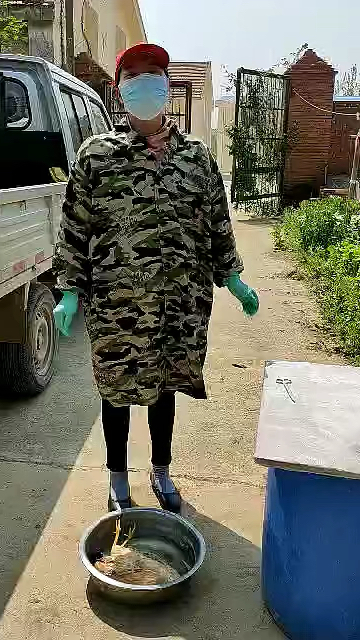 养殖场病鸡解剖方法