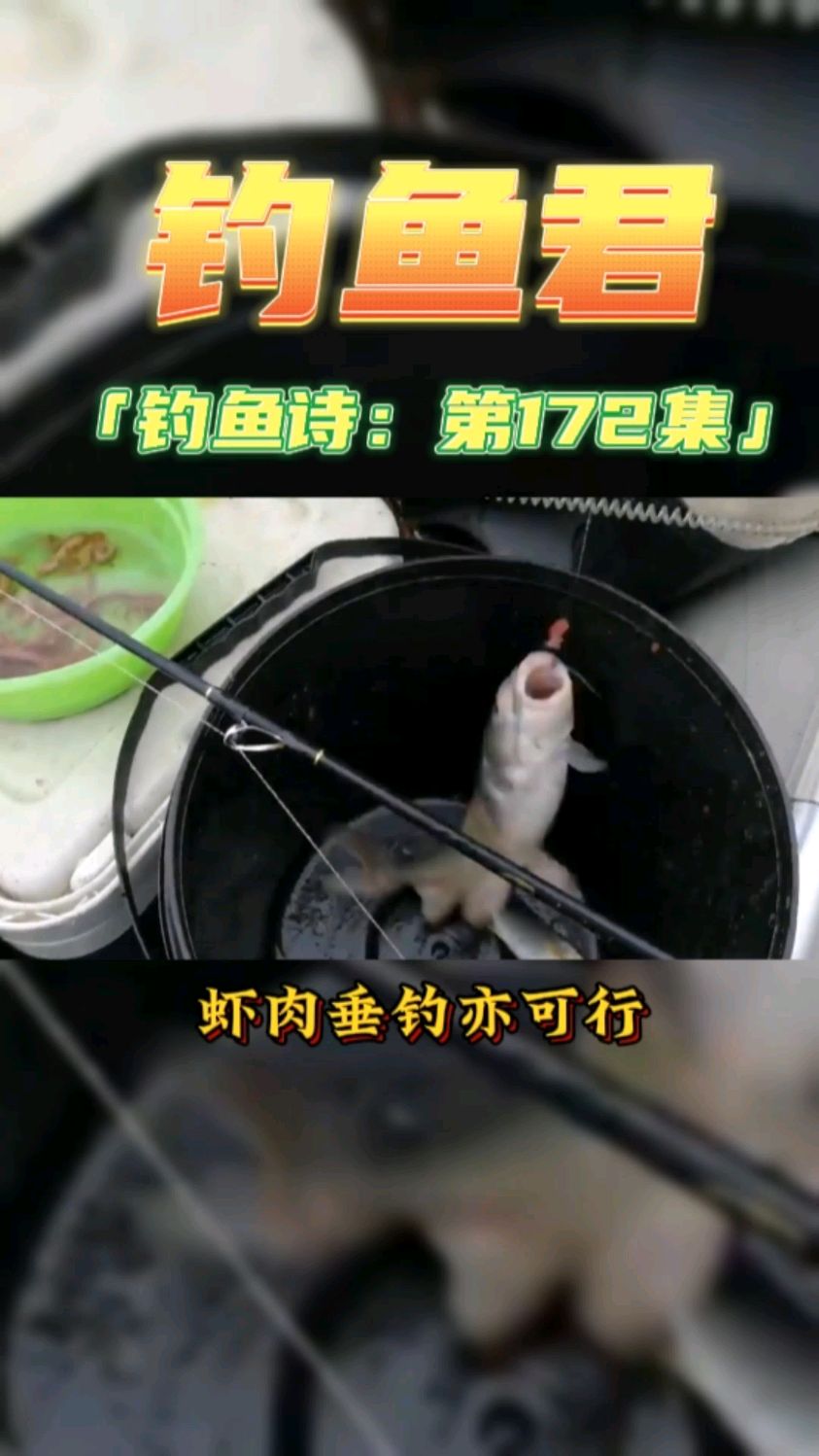 钓鱼君之钓鱼口诀:第172集(钓海鲶鱼)鱼类百科,钓过此鱼吗?