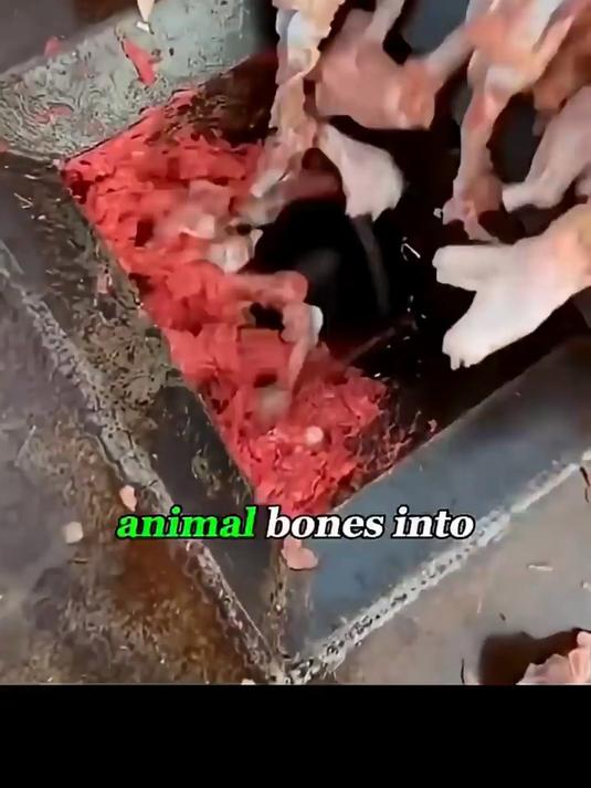 废弃骨头竟被做成高端肉饼,你吃的汉堡肉到底是什么?