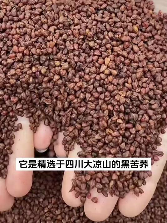 细节控狂喜!黑苦荞茶独立茶包与质检认证的双重安心守护