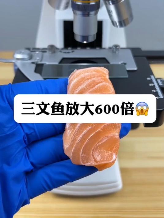 三文鱼真有寄生虫吗?