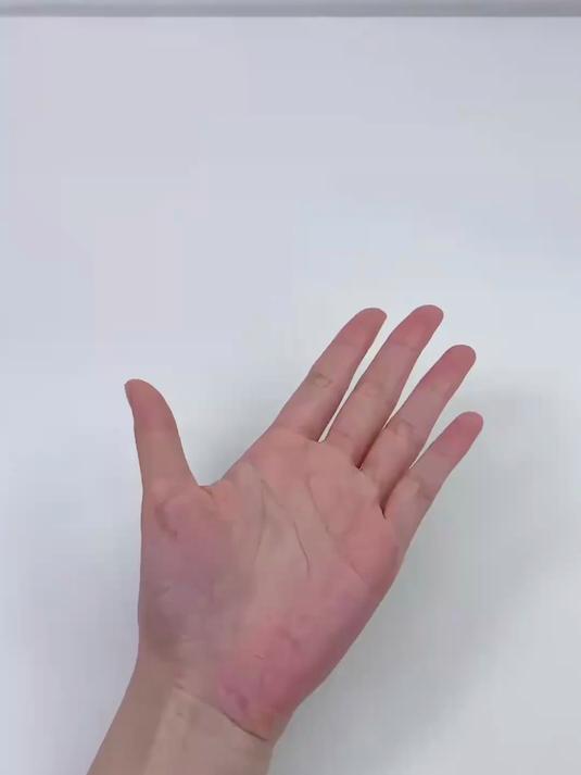 小熊头像和小猫咪头像玩偶