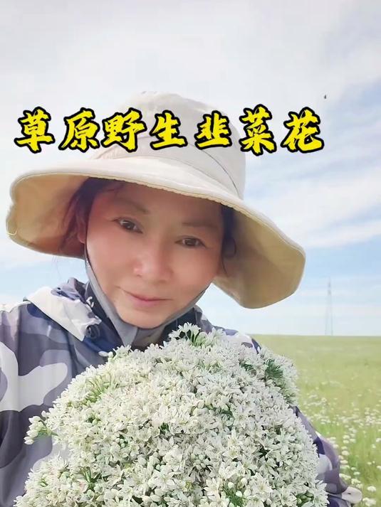 25年草原野生韭菜花刚刚下来,又事采摘的一天,越踩越上瘾