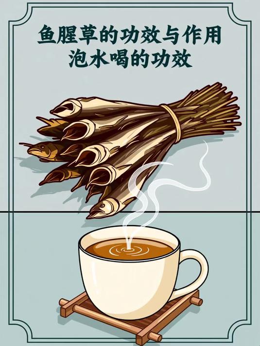 鱼腥草的功效与作用泡水喝的功效 #健康扬帆季#
