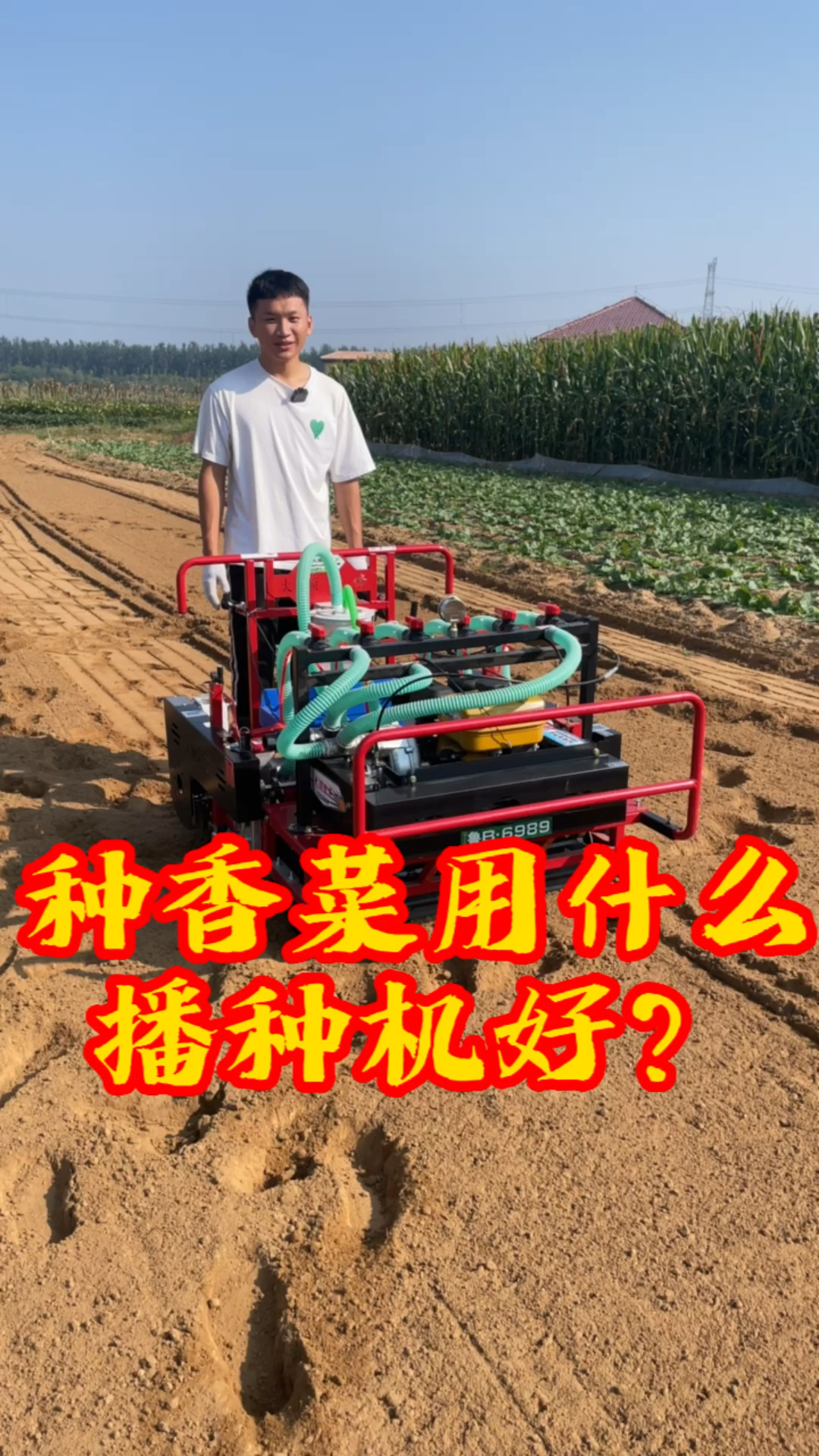 播香菜用什么播种机好?