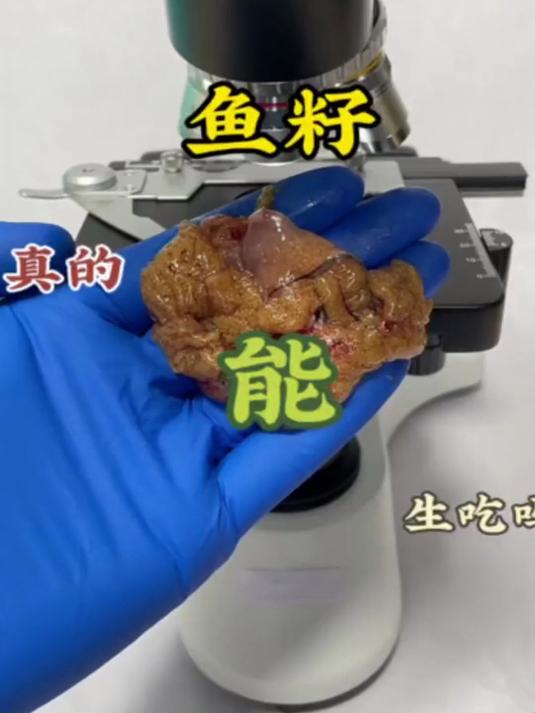 鱼籽真的能生吃吗?