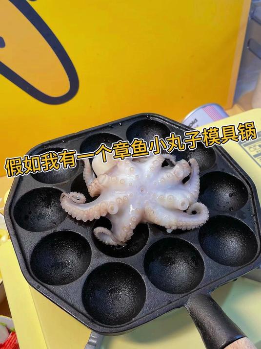 假如我有一个章鱼小丸子模具锅～