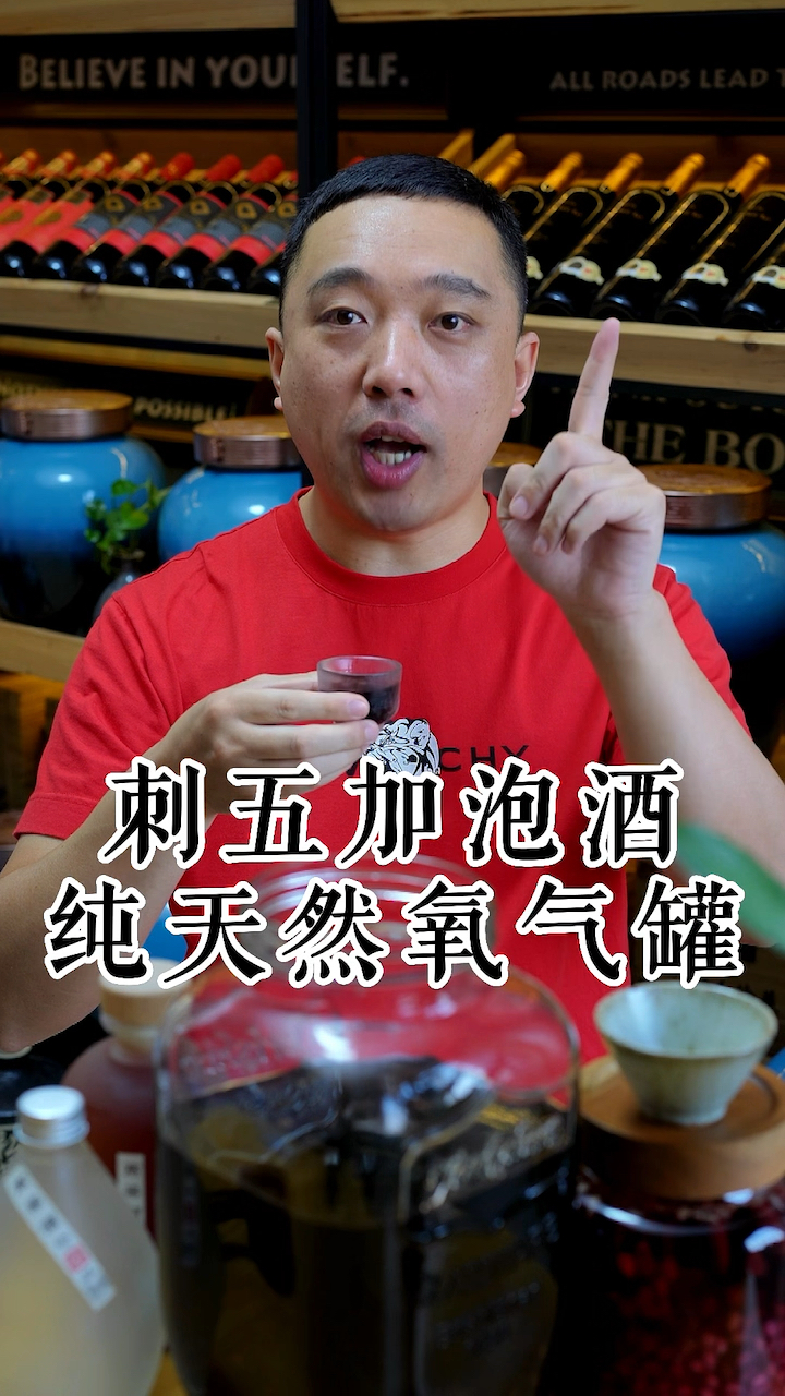 刺五加泡酒,纯天然的氧气罐,沾床就倒,深度睡眠!