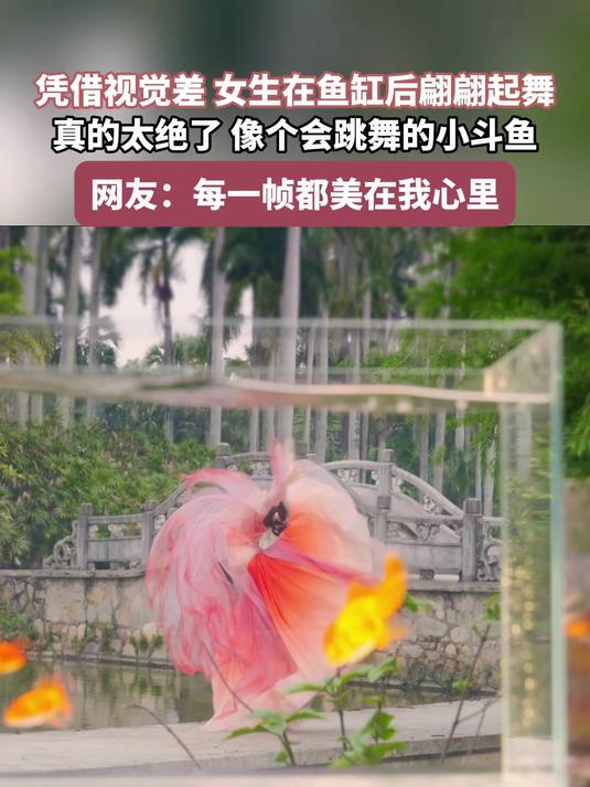 凭借视觉差,女生在鱼缸后翩翩起舞,像个会跳舞的小斗鱼