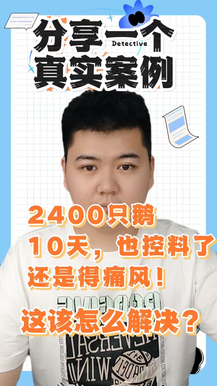 11天小鹅痛风怎么办小鹅痛风症状及前兆如何预防鹅痛风鹅痛风怎么预防和解