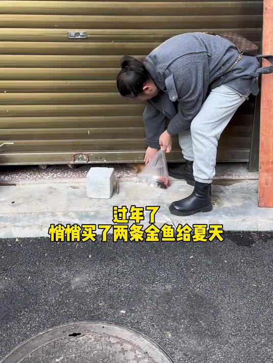 新的一年了,给夏天又安排了了两条金鱼
