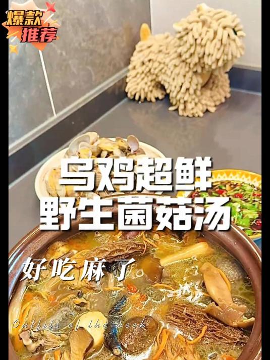 这个汤真的好喝到抽耳光都不放手#动手自己做美#野生菌菇_#云南菌