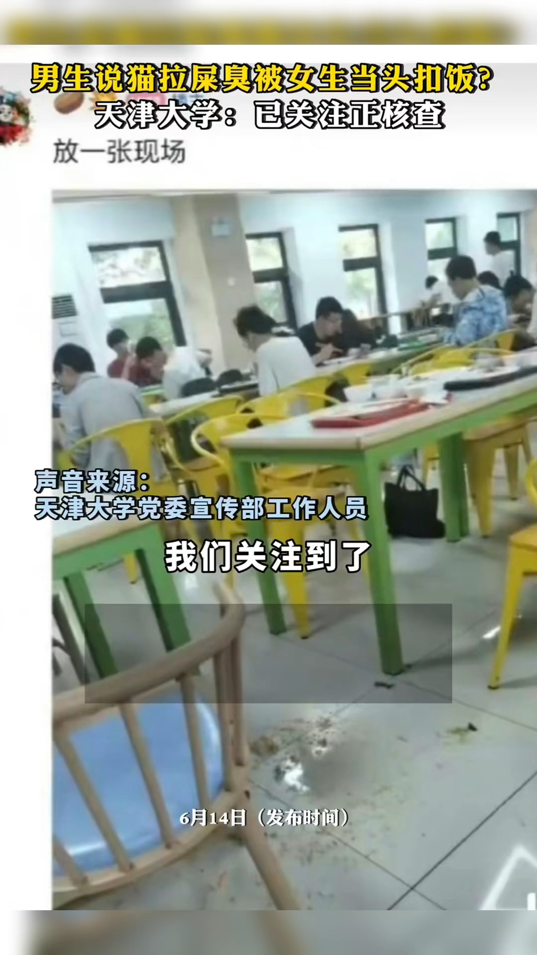 男生说猫拉屎很臭被女生当头扣饭?天津大学:已关注正核查!