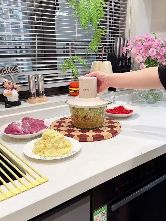 苏泊尔(SUPOR)绞肉机家用电动大容量多能料理机 绞馅机碎肉搅肉