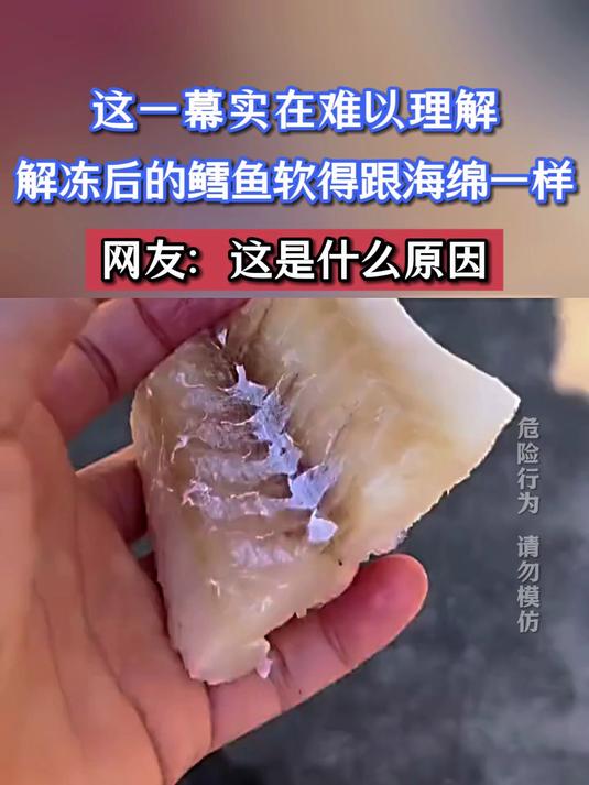 这一幕实在难以理解,解冻后的鳕鱼软得跟海绵一样