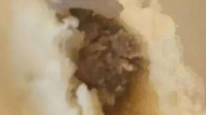 女子吐槽称在山姆买的鲜肉包子里吃出疑似玻璃透明物,山姆回应