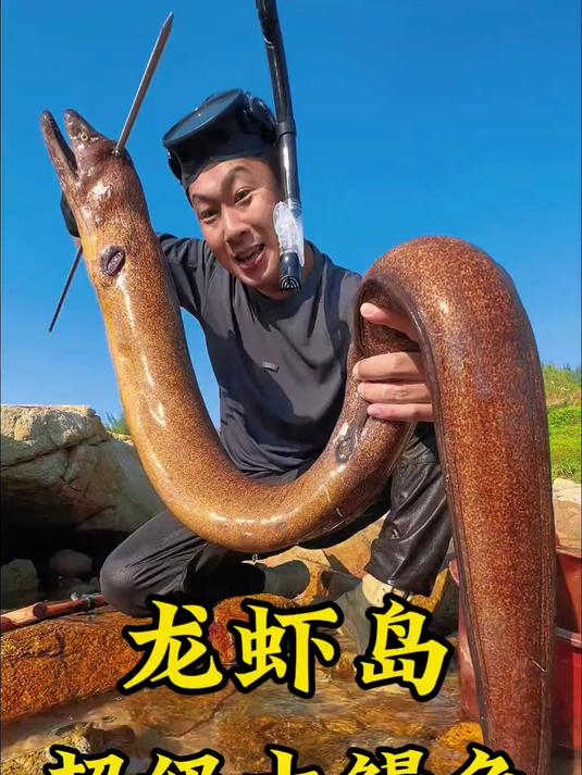 赶海,收获超级大鳗鱼