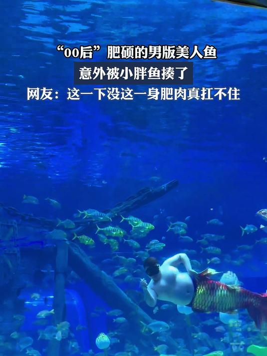 “00后”肥硕的男版美人鱼，意外被小胖鱼揍了