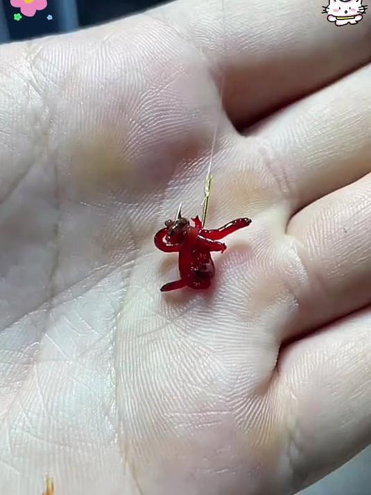 钓鱼利器,红虫上饵器让钓鱼更轻松