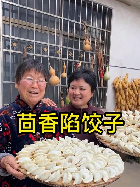今天就做闺女最爱吃的茴香大肉陷饺子