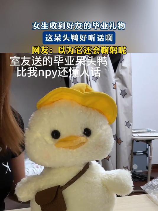 女生收到好友的毕业礼物，这呆头鸭好听话啊，以为它还会鞠躬呢