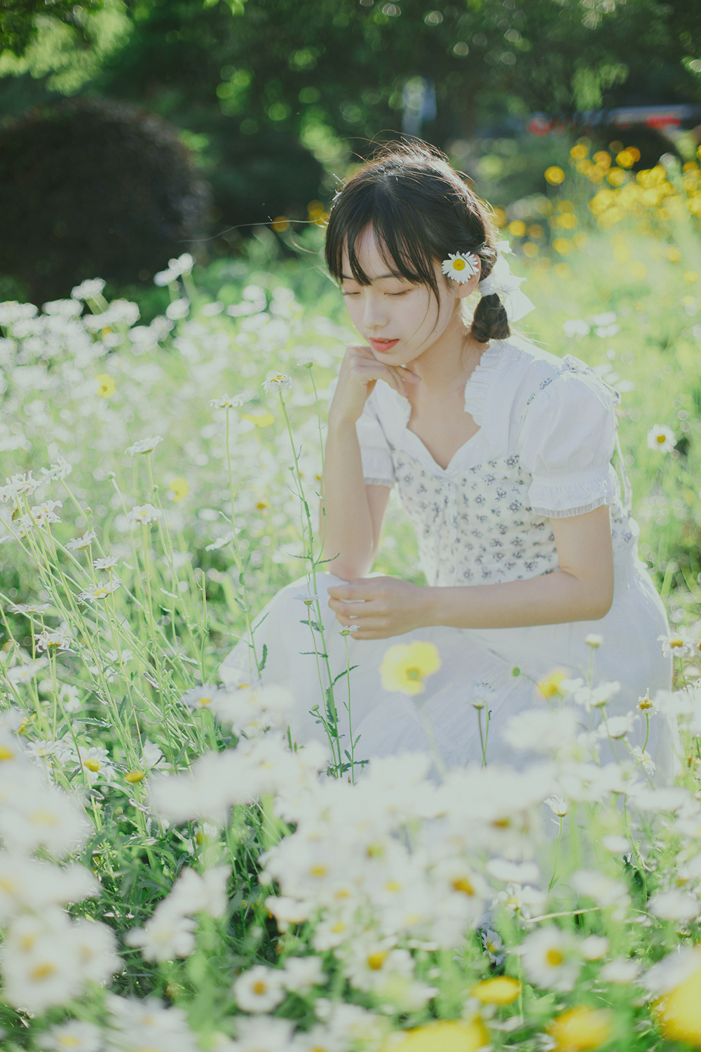 图片[14]-初夏の小雏菊Ⅱ-六色网