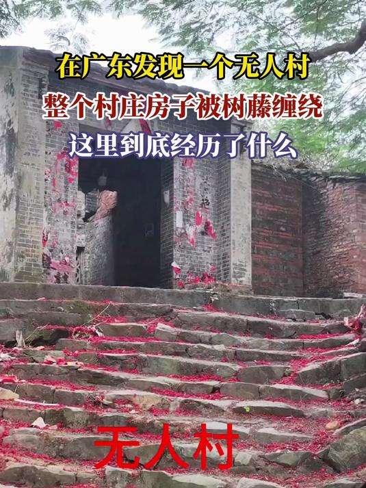 在广东发现一个无人村,整个村庄房子被树藤缠绕,到底经历了什么