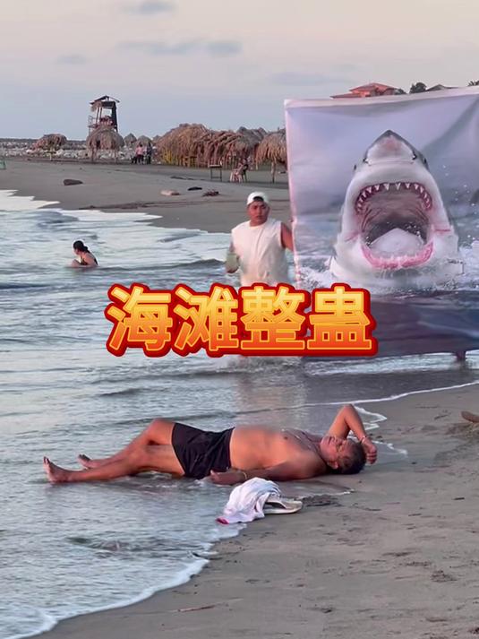 海滩躺平需谨慎!我被鲨鱼海报吓成表情包