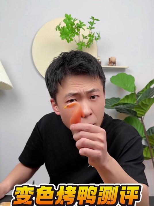 变色烤鸭挂件测评