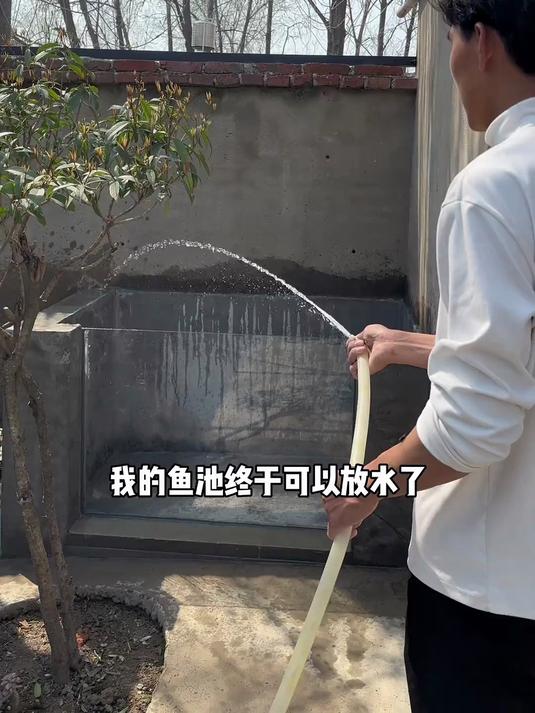 鱼池越来越像样了,也算完成了小时候的梦想,在家建个鱼池
