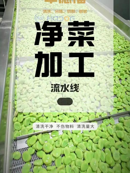 净菜加工流水线用于对蔬菜进行清洗、分拣、切割、包装等一系列加工处理#净菜生产线##净菜加工