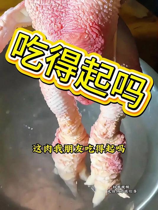 东涛鸡