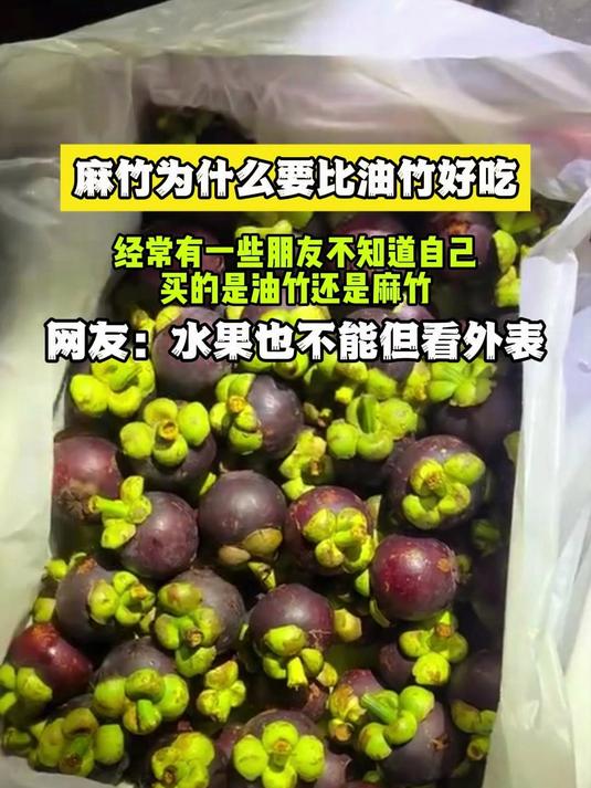 麻竹为什么要比油竹好吃!
