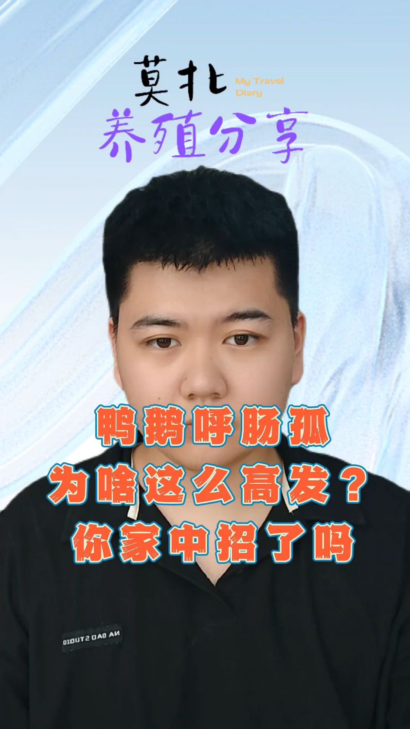 鸭子呼肠孤的症状及表现 鸭子呼肠孤的症状和治疗 鸭子呼肠孤是什么病